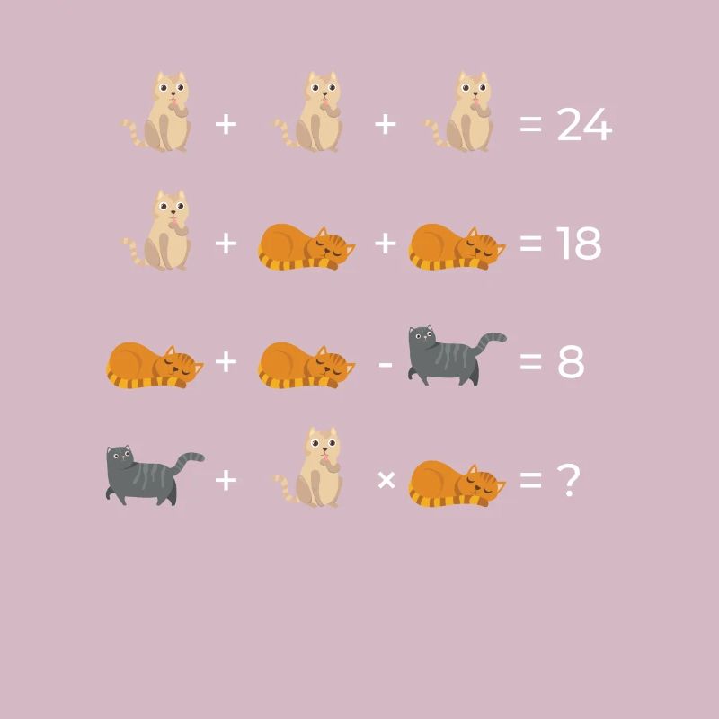 Cat Math Math Math Équations Cadeau