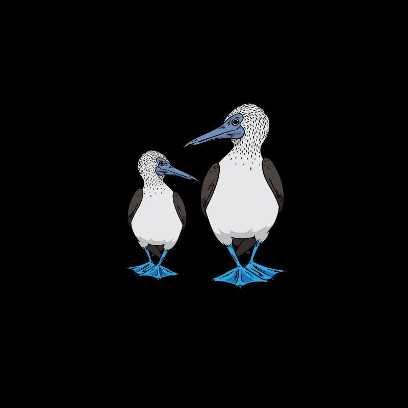Gannets Seabirds Blue-footed