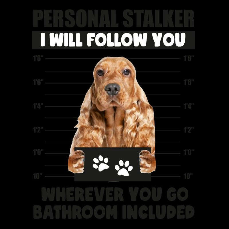 Persönlicher Stalker-Hund, englischer Cocker Spaniel-Welpe