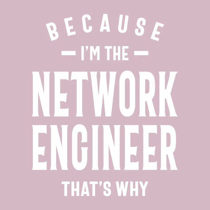 Network Engineer Job Title Profession