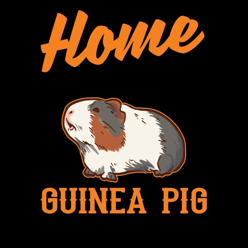 Cochons d’Inde à la maison Cochon d’Inde