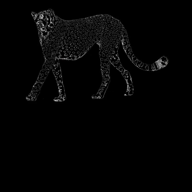 Guépard - Gros Chat - Chat - Faune en Afrique
