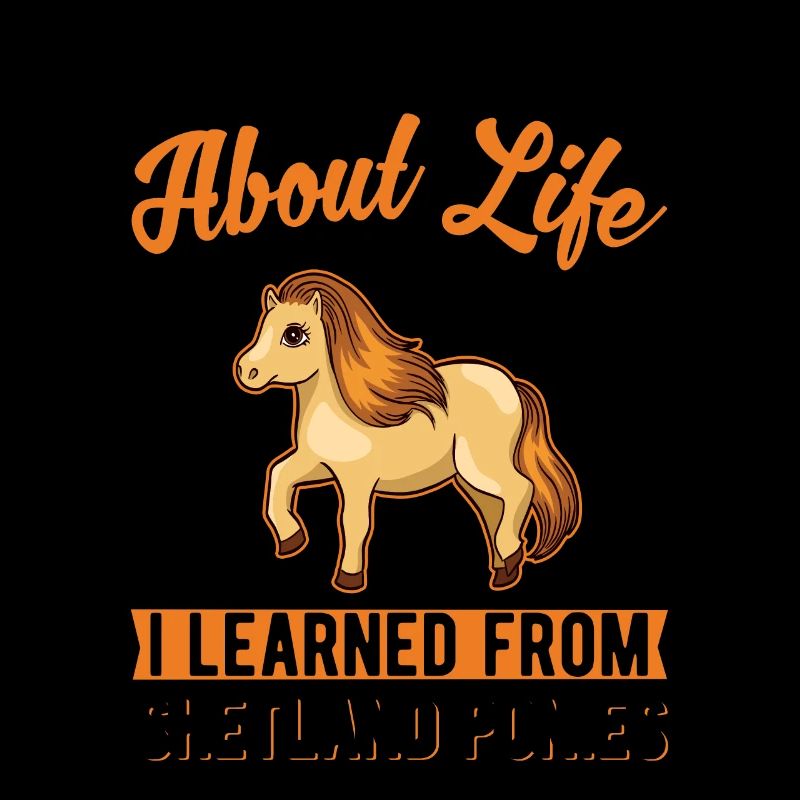 Shetland pony Shetland pony Shetty