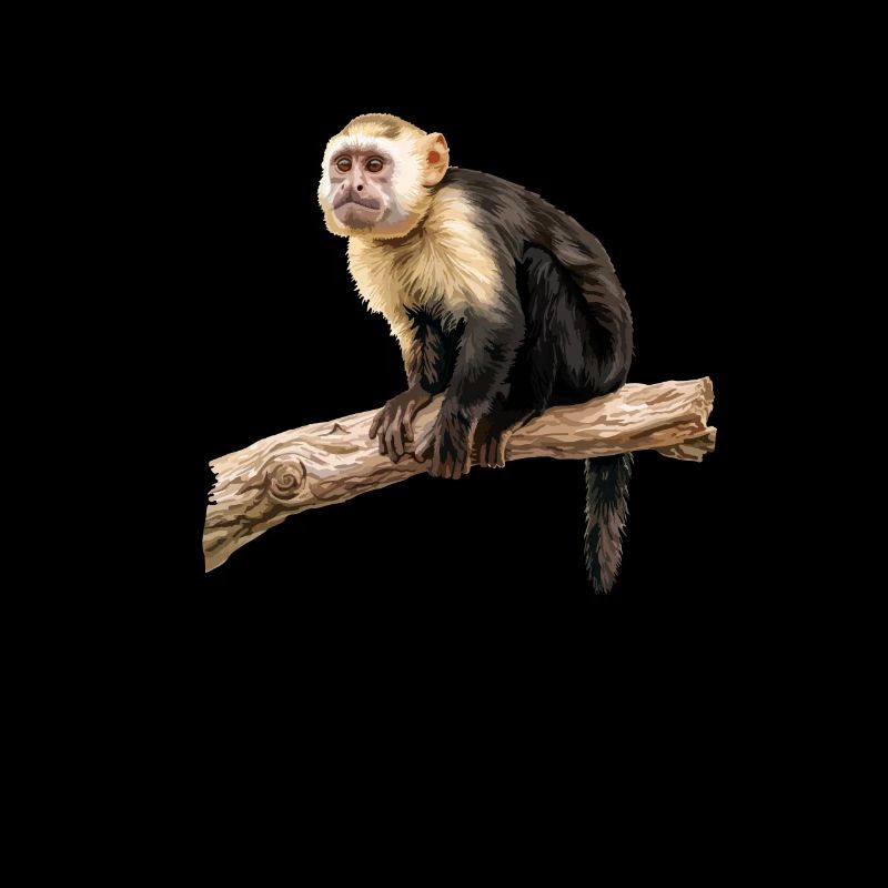 Capuchin monkey whisperer