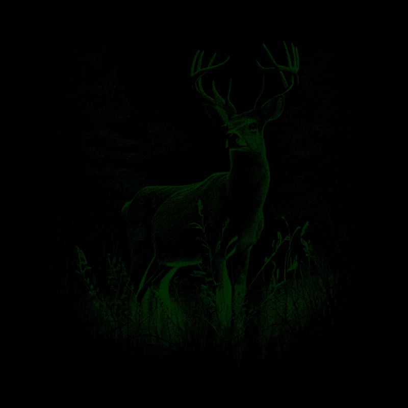 Hirsch Geweih Rotwild