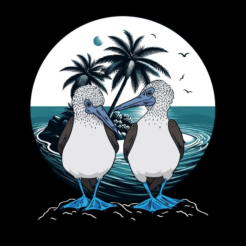 Blaufußtölpel Galapagos