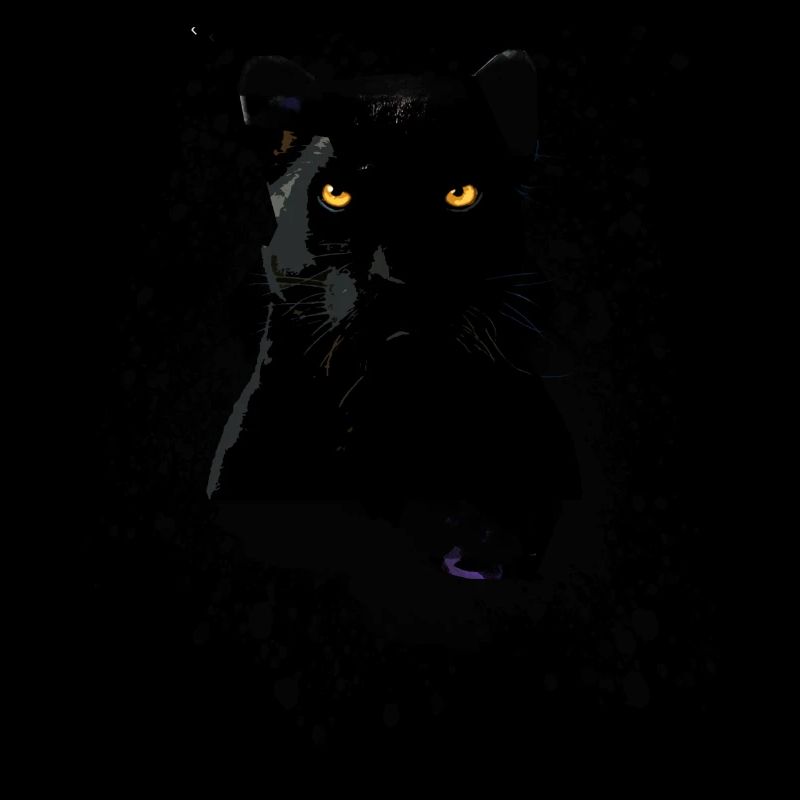 panthère noire, panthère, chat, emo, punk, graffiti