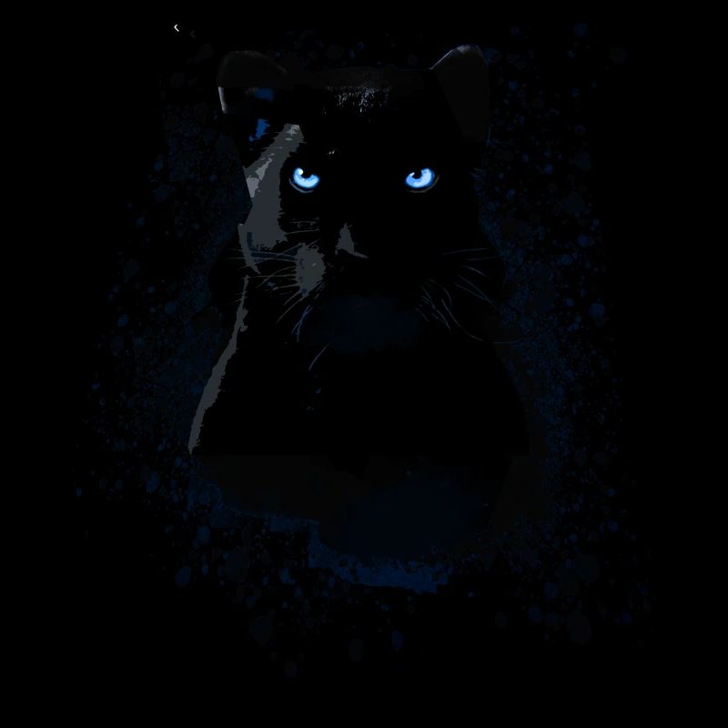 panthère noire, panthère, chat, emo, punk, graffiti