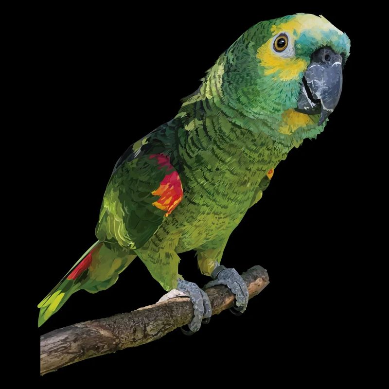 The blue-fronted amazon