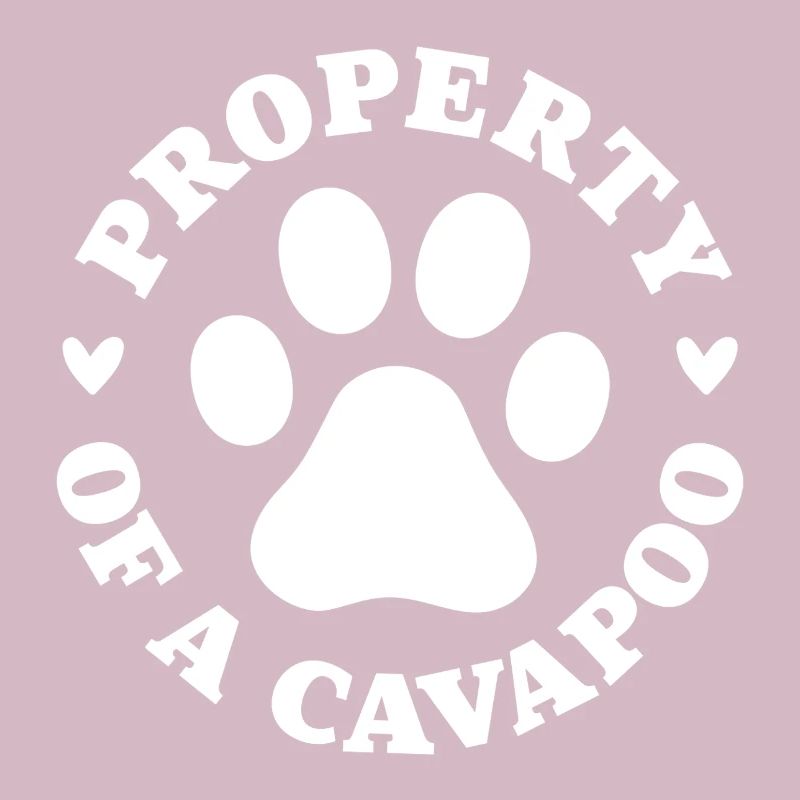 Propriété d’un Cavapoo