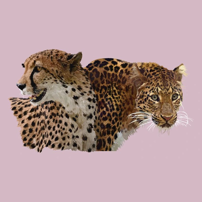 Leopard and cheetah