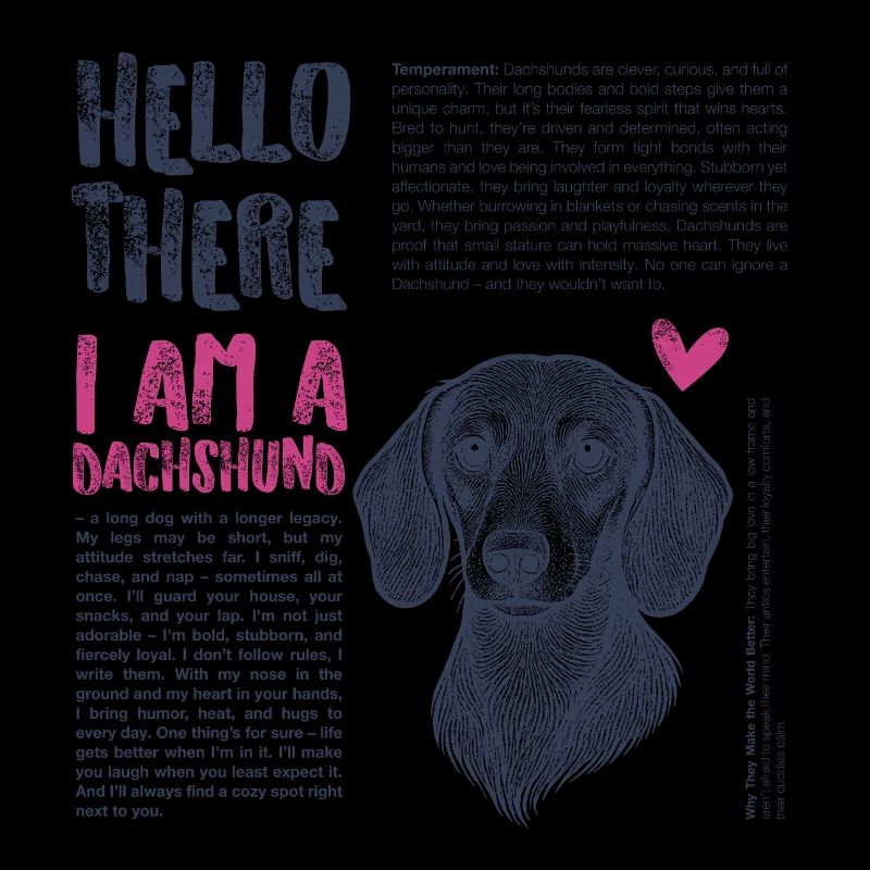 Dachshund – Courageous, Funny & Distinctive