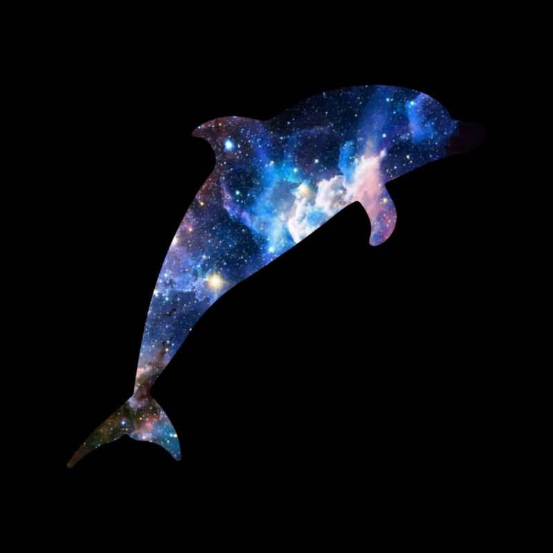 Space Dolphin