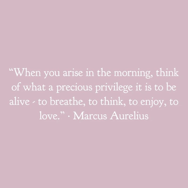 Wenn Du Morgens Aufstehst Marcus Aurelius