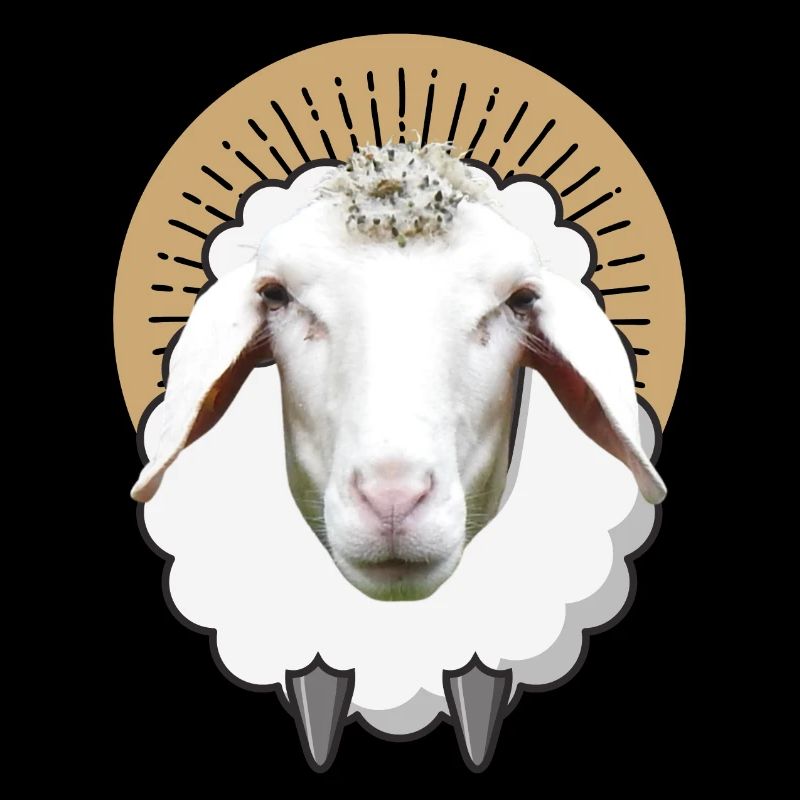 SCHAF SCHAFE Schäfchen Lamm