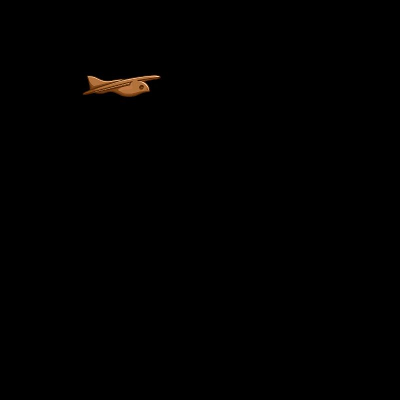 Ancient Astronaut Theorie Vogel von Sakkara