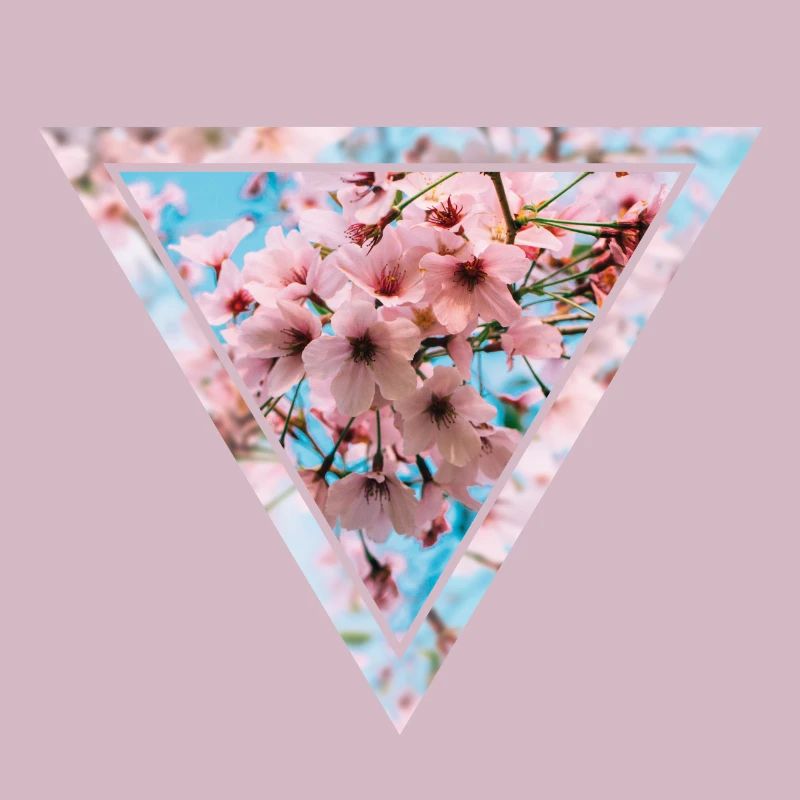 Triangle de fleurs de cerisier