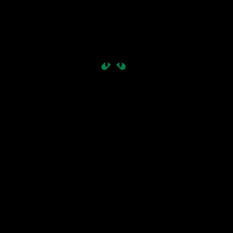 Katze
