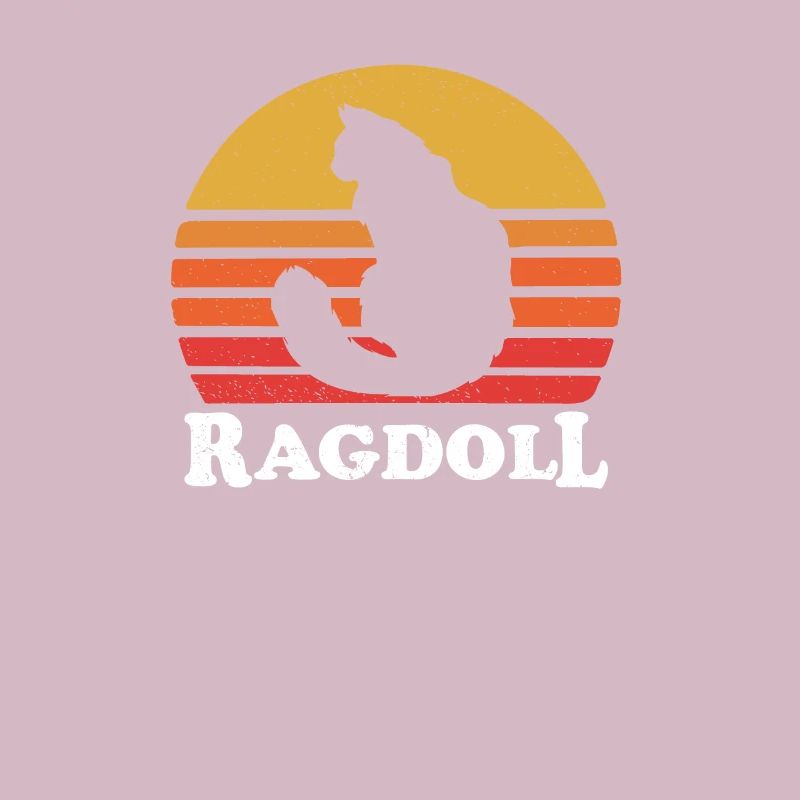 ragdoll cat