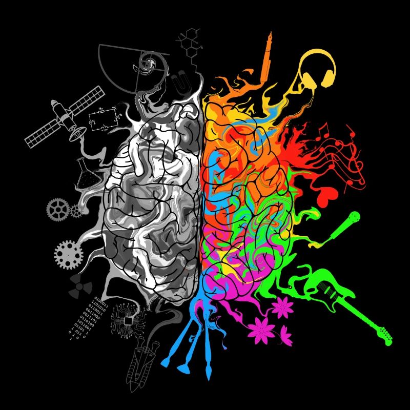 Brain halves functions