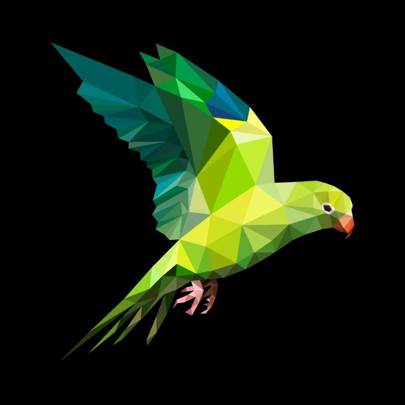 Perroquets perruche polygone oiseau art
