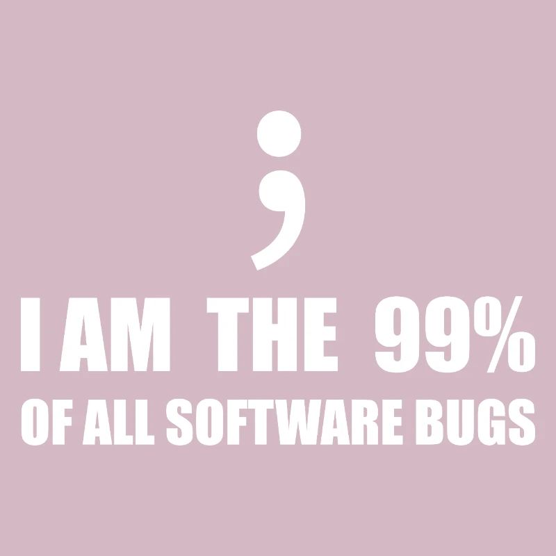 Programmeur Computer Scientist