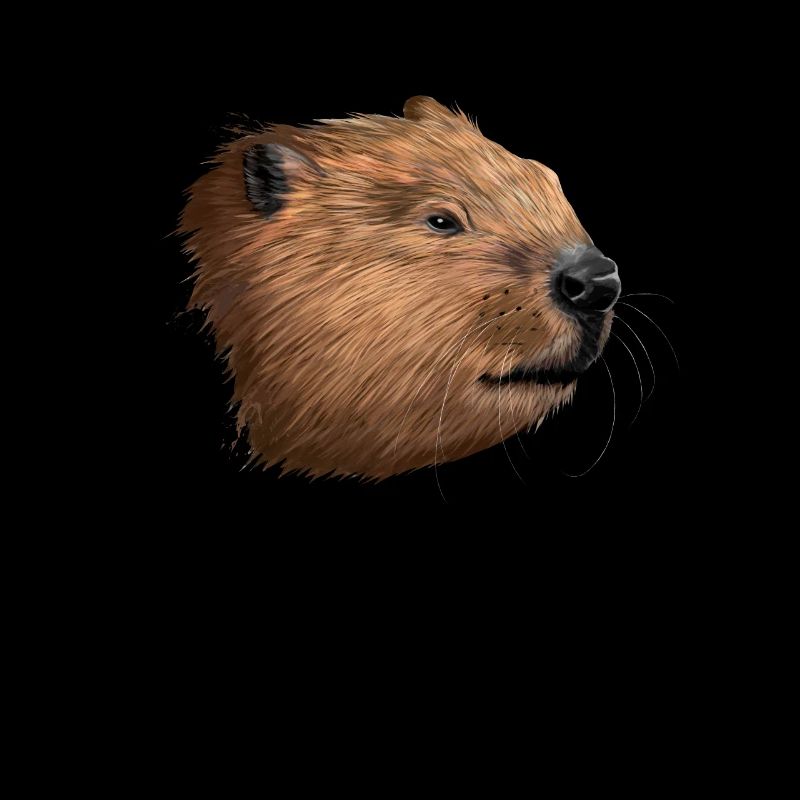 Beaver Splatter