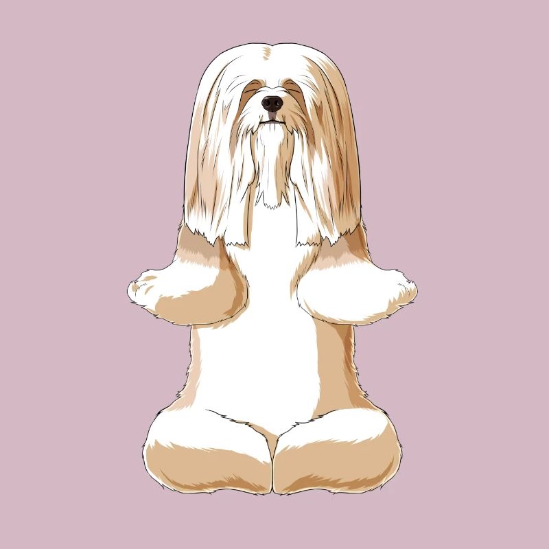 Meditating Lhasa Apso Dog