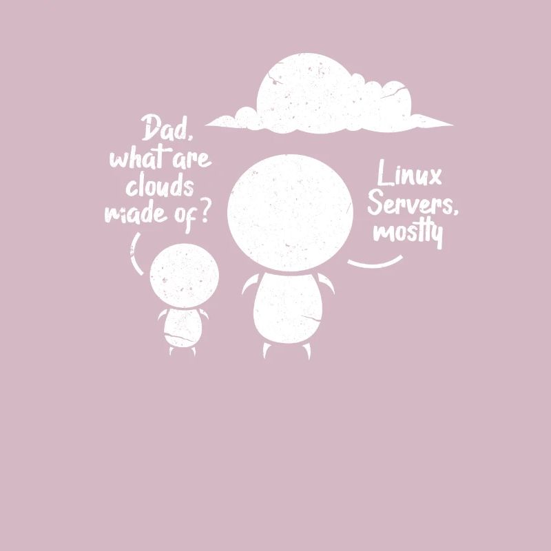 Développeur Logiciel Programmeur Logiciel Linux