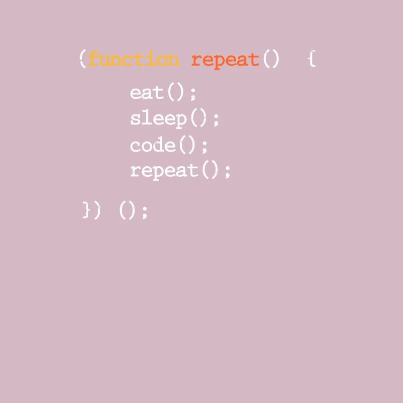 Programmeur Coder Programmer Informatique Geek