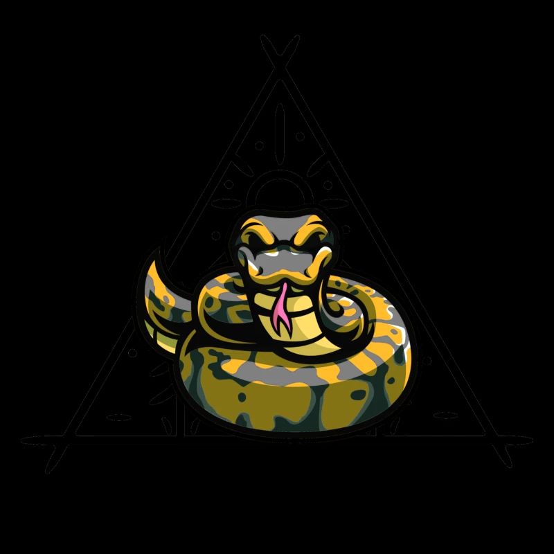 Ball Python Schlange Besitzer Nette Haustier Schlange