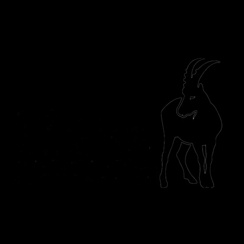 Steinbock Sternzeichen