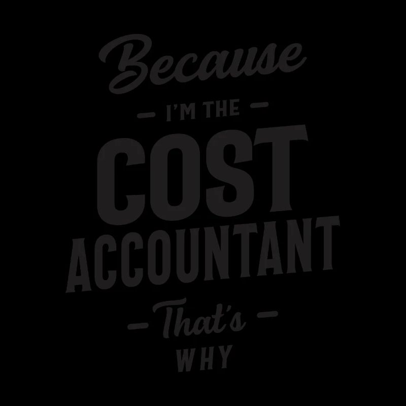 Cost Accountant Job Title Profession