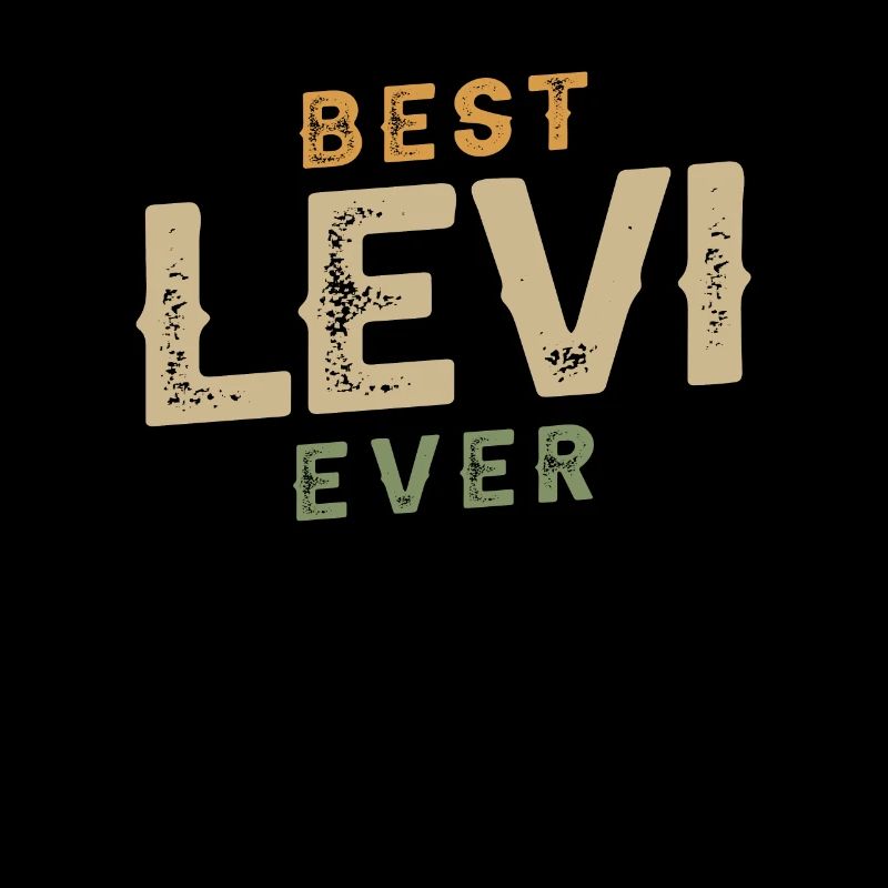 Best Levi Personalized Name Funny