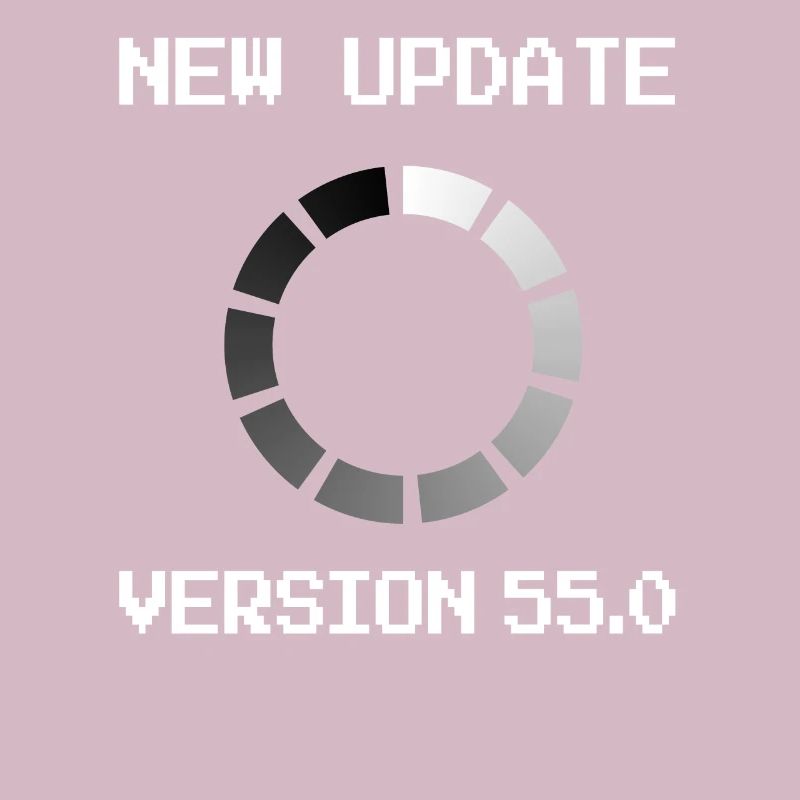 Programmierer 55. Geburtstag informatik Geschenk