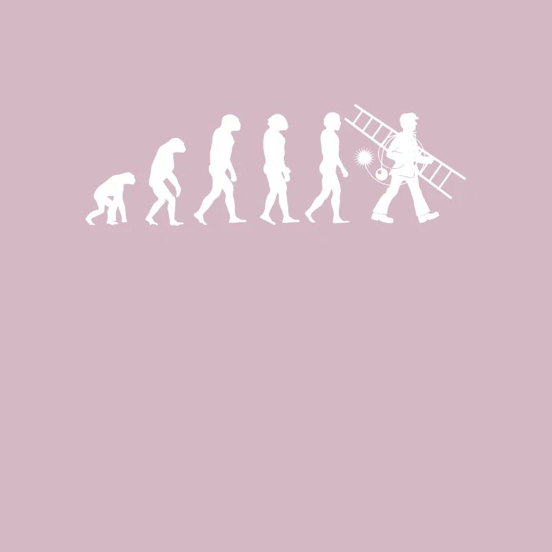 Ramoneur Evolution Cheminée Cheminée