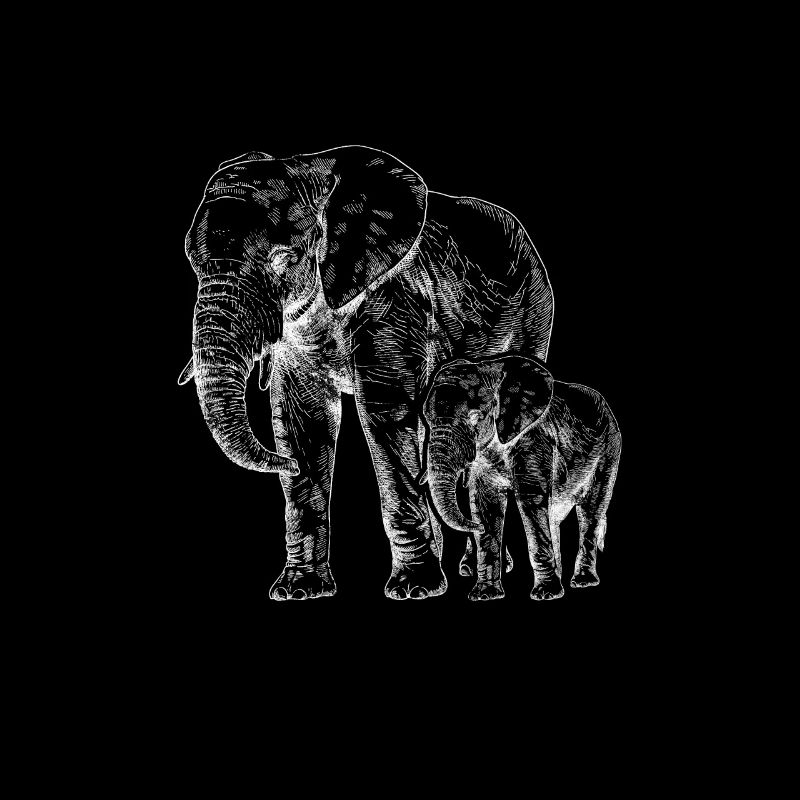 Elefant