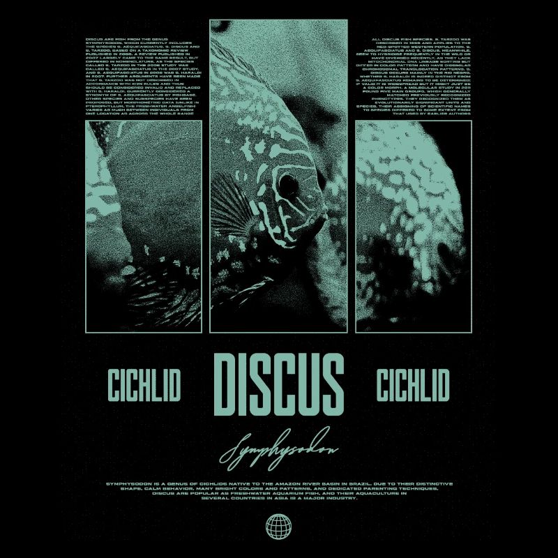 Discus Cichlidé Aquarium Fish Keeper