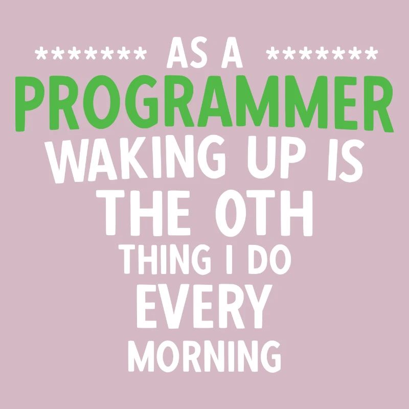 Software Ingenieur Informatiker Programmierer