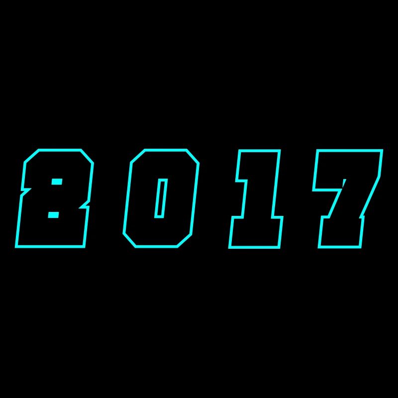 2017 Year Number