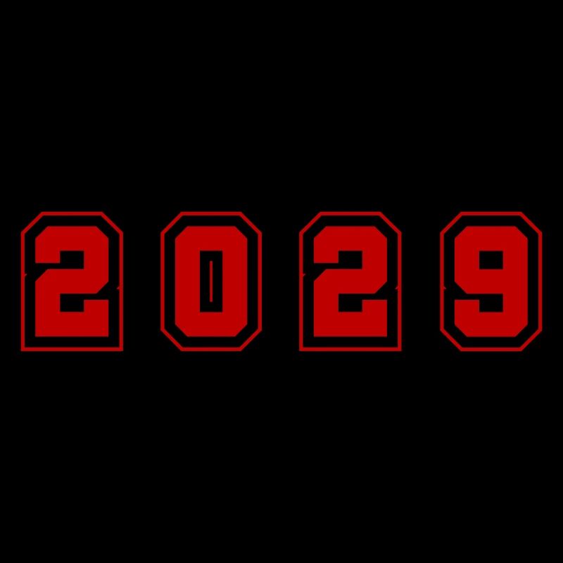 2029 Year Number