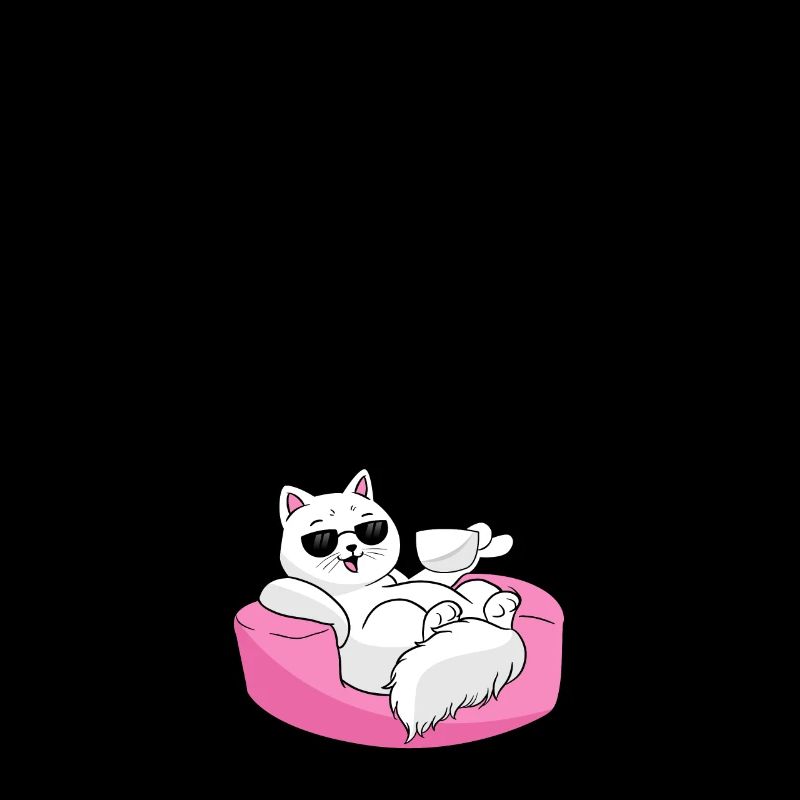 image de chat amusant vie de luxe chat ami chat