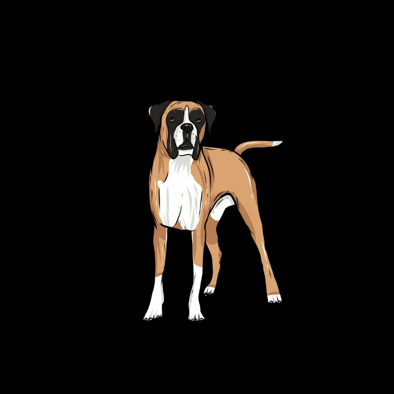 Chien boxer