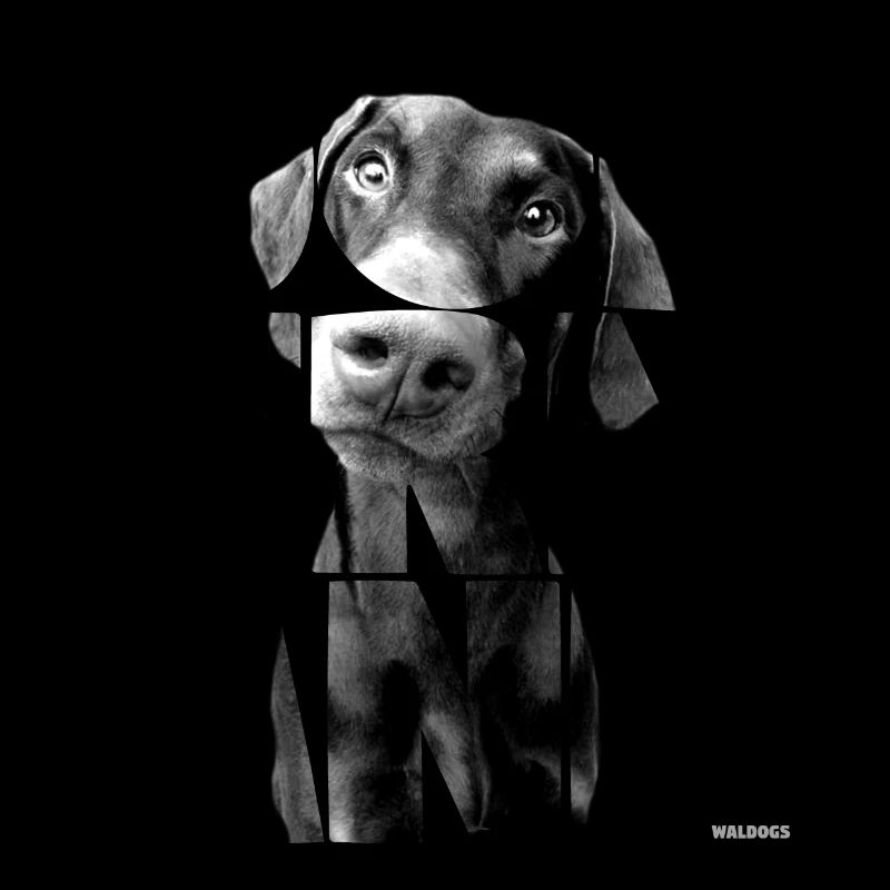 NASSU Dobermann Schwarz