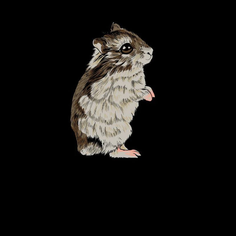 Hamster nain du Dzungar