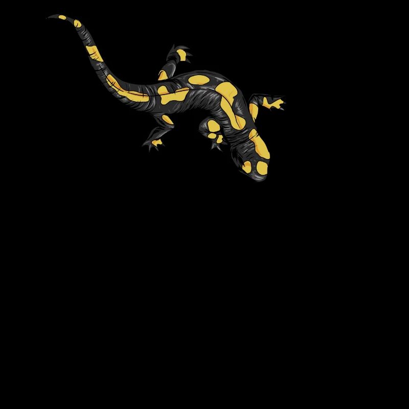 Drawing of a fire salamander