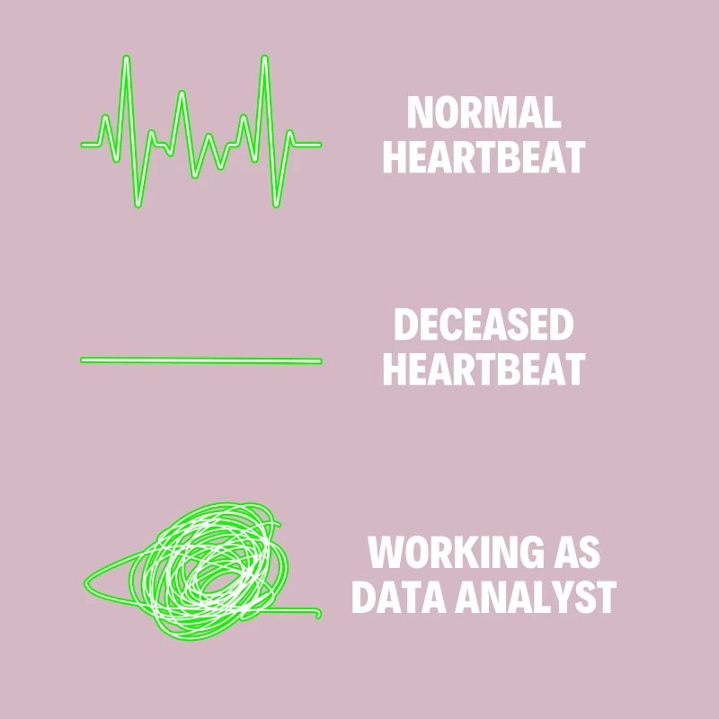 Data Analyst Data Analytics Worker Web Developer