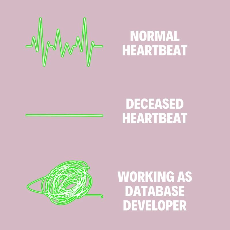 Database Developer Web Developer Technology Field