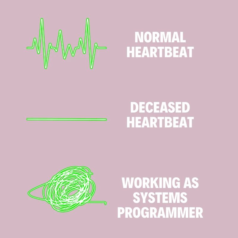 System Programmer Funny System Worker Programmers