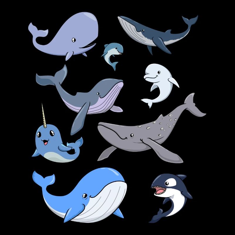 De nombreuses espèces différentes de baleines